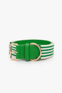 Sadie Striped Belt - Green