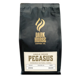 Pegasus - Ethiopia Sidama Grade 3 Natural