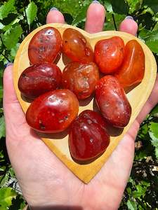 Tumbled Stones: Carnelian Medium Tumbled Stone