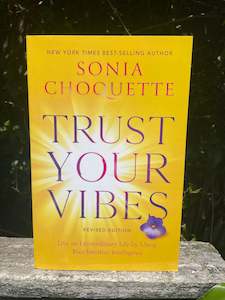 Trust Your Vibes Book