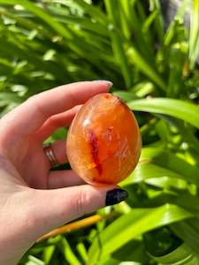 Carnelian Egg D