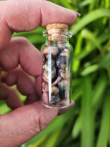 Chip Bottles: Rhodonite Crystal Chip Bottle