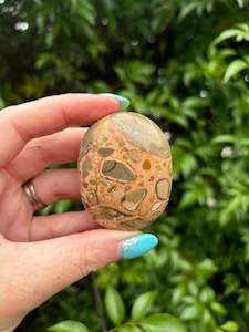 Leopardskin Jasper Palm Stone H