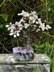 Rose Quartz With Amethyst Druze Base TREE Xlarge