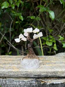 Rose Quartz With Rough Rose Quartz Base TREE