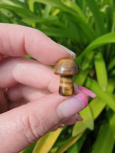 Tigers Eye Mini Mushroom