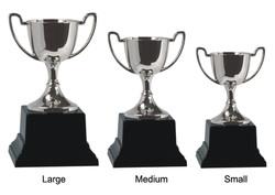 Products: Mini trophy 173mm davyengravers