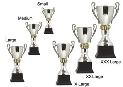 Grand Trophy Cup 398mm davyengravers