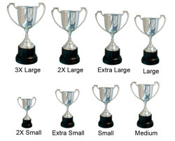 Classic Trophy Cup 290mm davyengravers