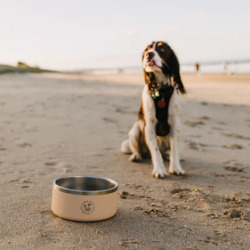 Direct: 2000mL Dawn Dogs Water Bowl