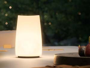 Ombii luminaire