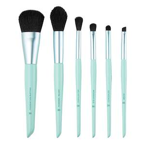 Ready to Roll 6-Piece Brush Set