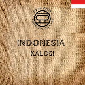 Indonesia Kalosi