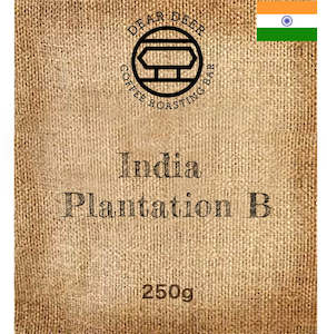 Food wholesaling: India Plantation B Washed