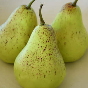 Pear - Artificial