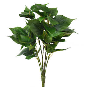 Greenery Plant - Large Philo