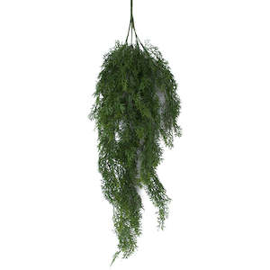 Asparagus Fern - Forest Green