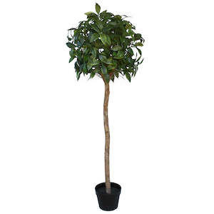 Bay Leaf Topiary - Artificial - 130cm ✰✰✰ SPECIAL ✰✰✰