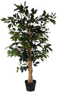 Tree - Ficus 125cm ✰✰✰ SPECIAL ✰✰✰