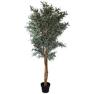 Olive Tree - Artificial 180cm ✰✰✰ SHOWROOM SPECIAL ✰✰✰