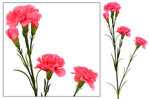 Carnation Flower Spray - Pink