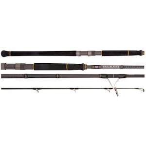 Penn Ocean Assassin 742MH PE 2-4 Rod