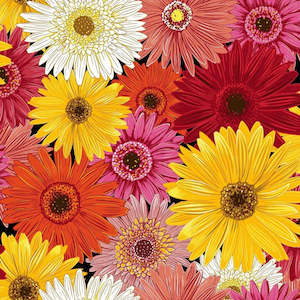 Flower Market: Gerberas pure cotton fabric