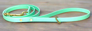 Pet food wholesaling: 13mm Wide x 120cm long Leads Multiple Colours