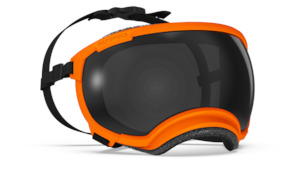 Rex Specs V2 Ozark Orange Frame