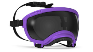 Rex Specs V2 Pike Purple Frame