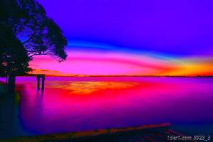 Stanley Point Sunset with Auckland Harbour Bridge, Ramp, and Jetty - Orange, Blue, Magenta