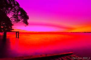 Stanley Point Sunset with Auckland Harbour Bridge, Ramp, and Jetty - Orange, Red, Magenta