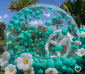 Bubble Dome