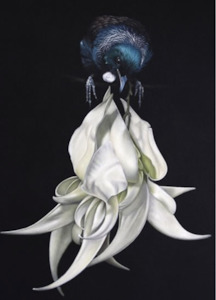 Gift: Tui And White Kakabeak - Jane Crisp - Art Print + Matting