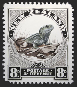 Tuatara Stamp - Jane Crisp - Art Print + Matting