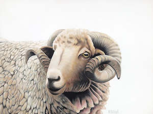 Gift: Sheep "Claude" Art Print