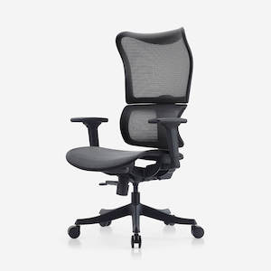 Furniture wholesaling - office: Deskbird Full Mesh Infinity Ergonomic Office Chair - Black (Suits 152cm-185cm)