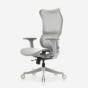 Deskbird Full Mesh Infinity Ergonomic Office Chair - Grey (Suits 152cm-185cm)