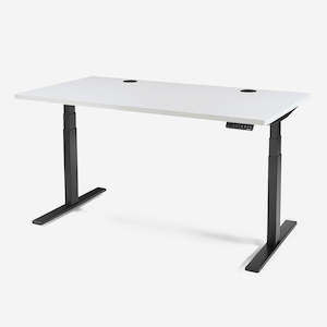 Furniture wholesaling - office: SIGNATURE STANDING DESK - Original