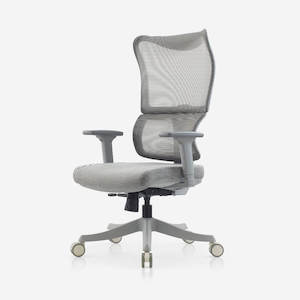 Deskbird Infinity Ergonomic Office Chair - Grey (Suits 152cm-185cm)