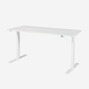 Deskbird Pro Gaming Standing Desk - White