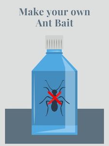 Writer: How to Make Ant Poison