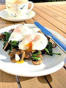 Poached Eggs