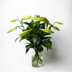 Flower: Christmas Lilies