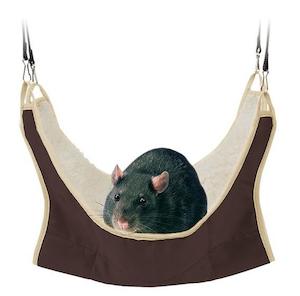 Hammock - Rat