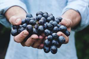 Hairdressing: Men's Fruit Facial