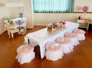 Furniture hiring: Pink fairy theme package