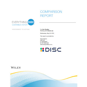 Business consultant service: Everything DiSC Comparison Report