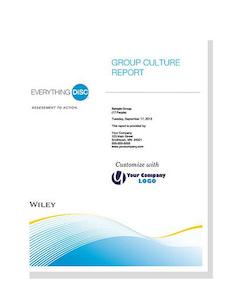 Business consultant service: Everything DiSC® Group Culture Report