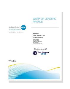 Business consultant service: Everything DiSC® Work of Leaders Profile